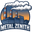 Metal Zenith logo